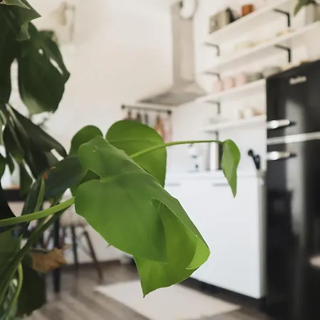 Urban Jungle 1 - Free Parking * 류블랴나