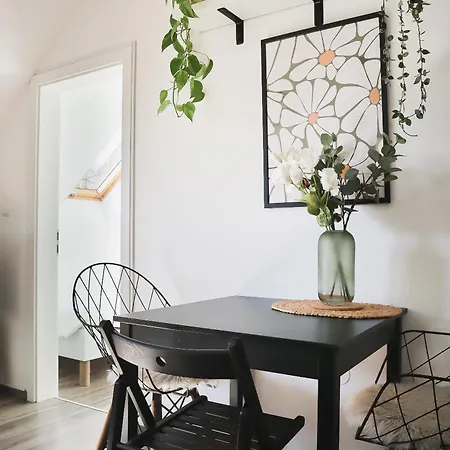 Urban Jungle 1 - Free Parking * 卢布尔雅那