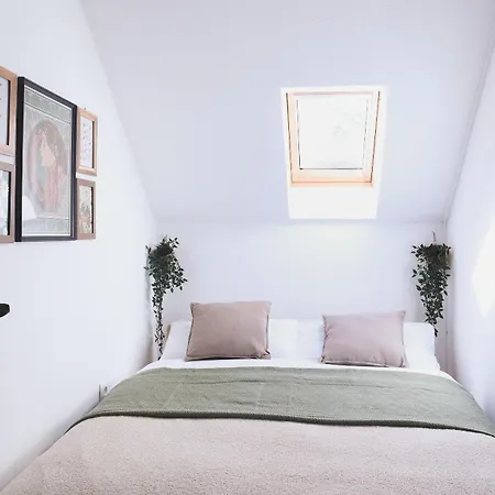 Urban Jungle 1 - Free Parking 公寓