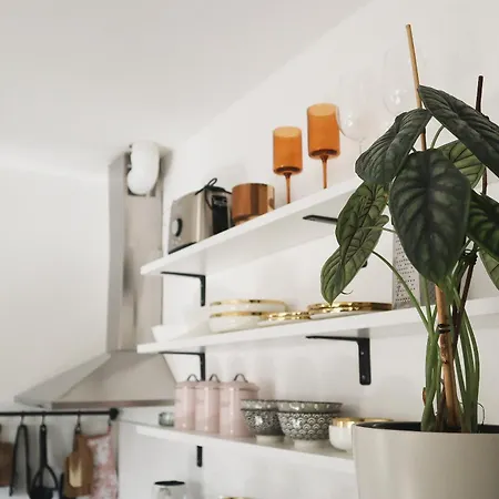 公寓 Urban Jungle 1 - Free Parking 卢布尔雅那