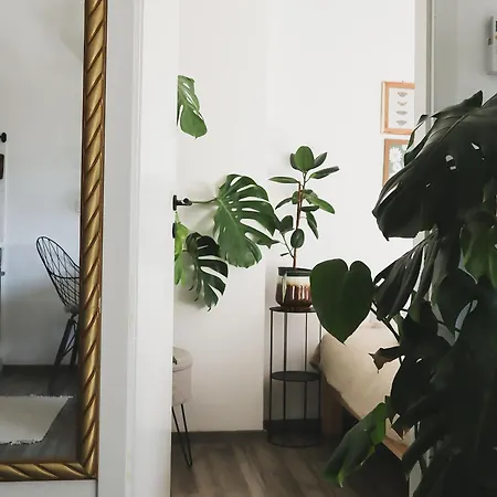 Urban Jungle 1 - Free Parking * 卢布尔雅那