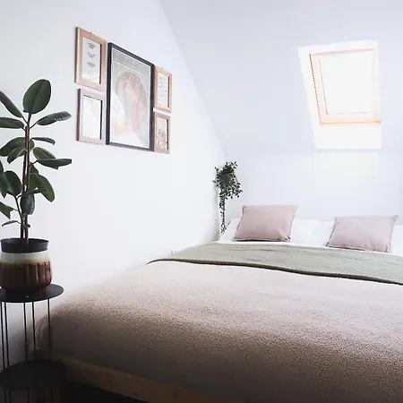 Urban Jungle 1 - Free Parking *