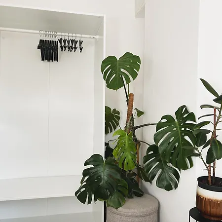 公寓 Urban Jungle 1 - Free Parking 卢布尔雅那