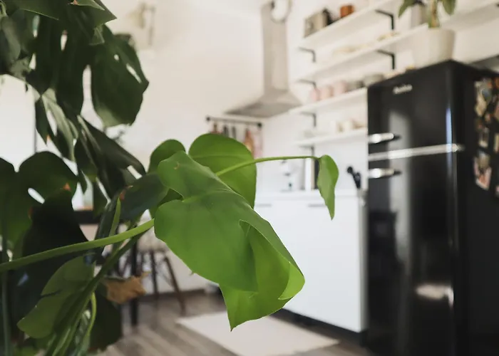 Urban Jungle 1 - Free Parking * Ljubljana