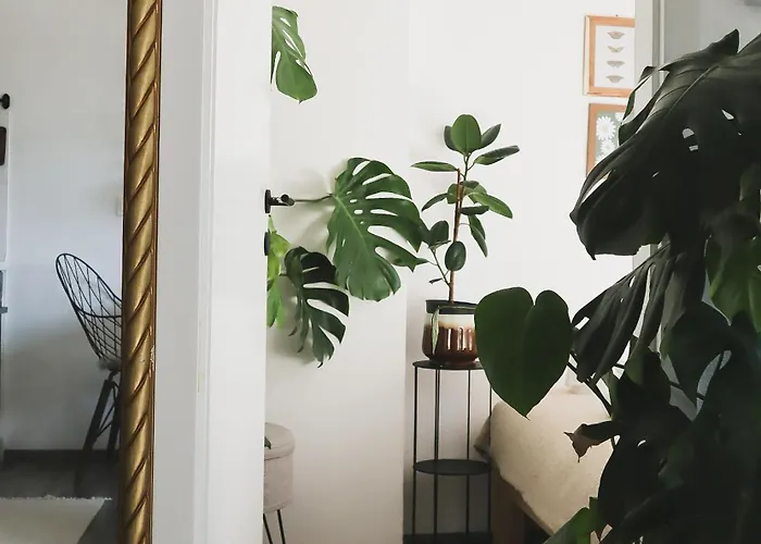 Urban Jungle 1 - Free Parking * ليوبليانا