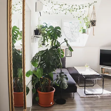 Daire Urban Jungle 1 - Free Parking *